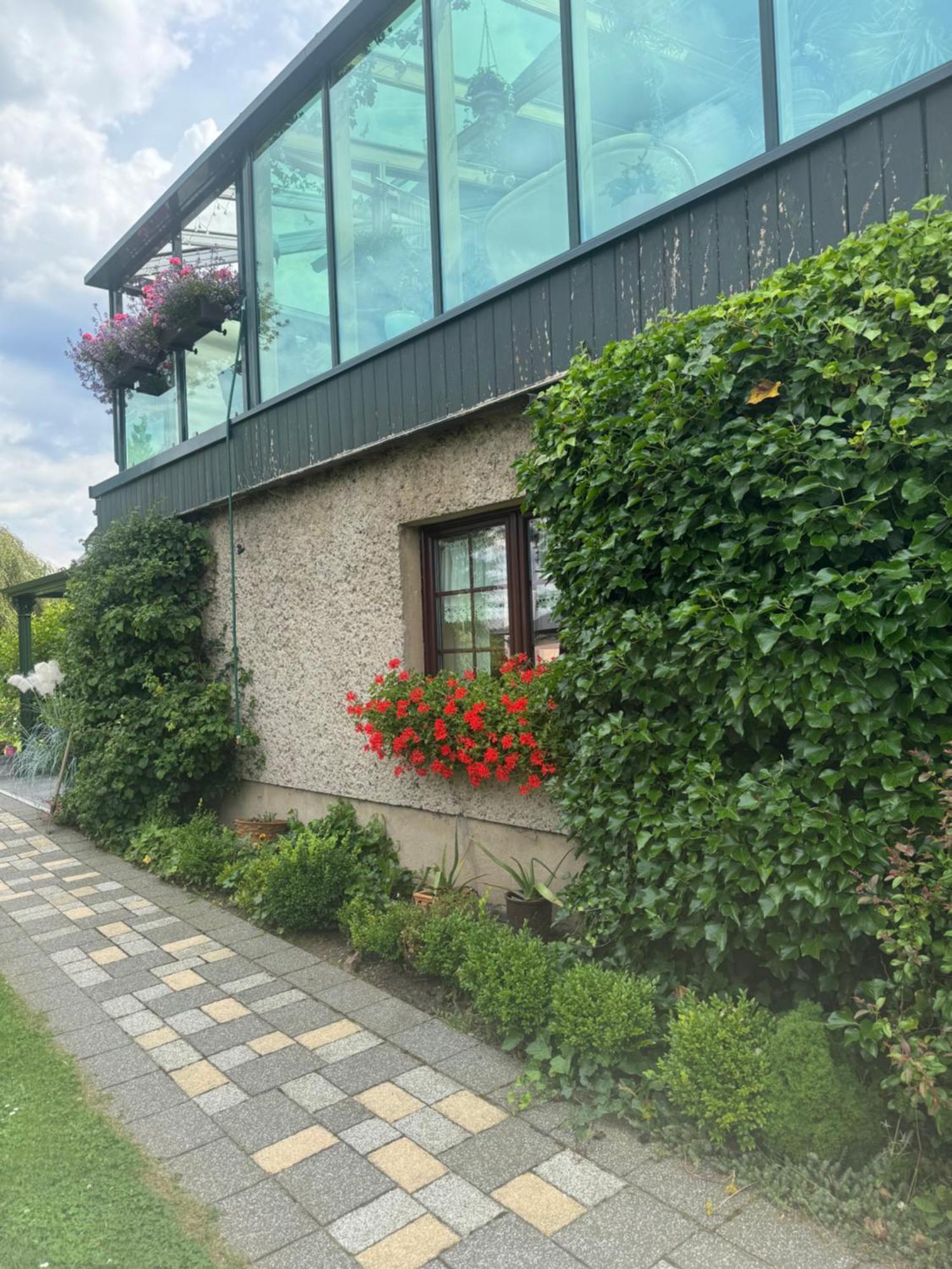 Ferienwohnung Hinterhermsdorf Glaser Sebnitz Dış mekan fotoğraf