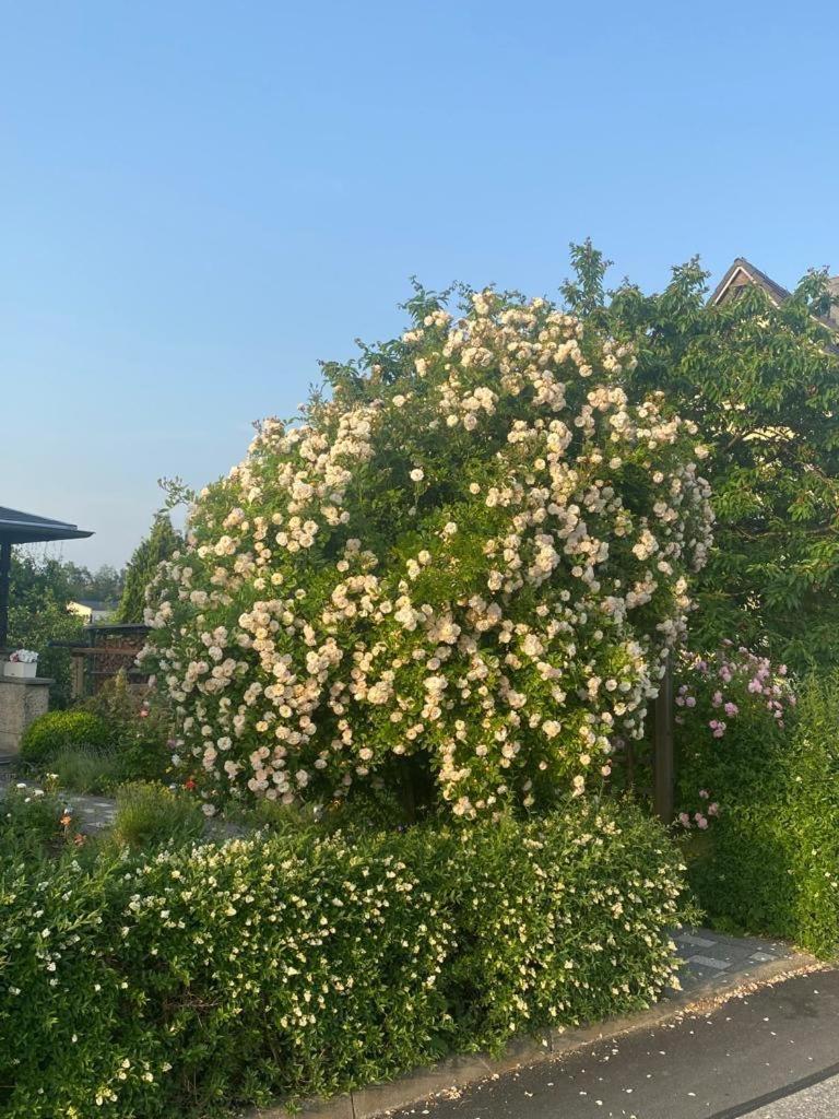 Ferienwohnung Hinterhermsdorf Glaser Sebnitz Dış mekan fotoğraf